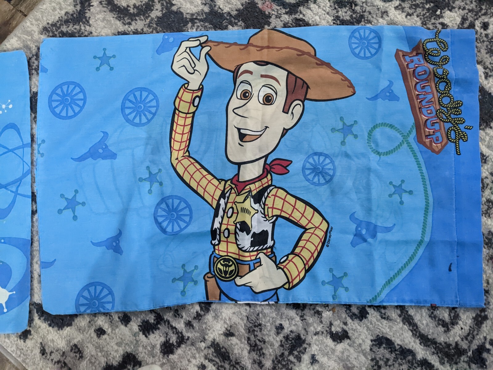 Vintage Disney Toy Story Woody and Buzz Lightyear Standard Pillowcases set of 2