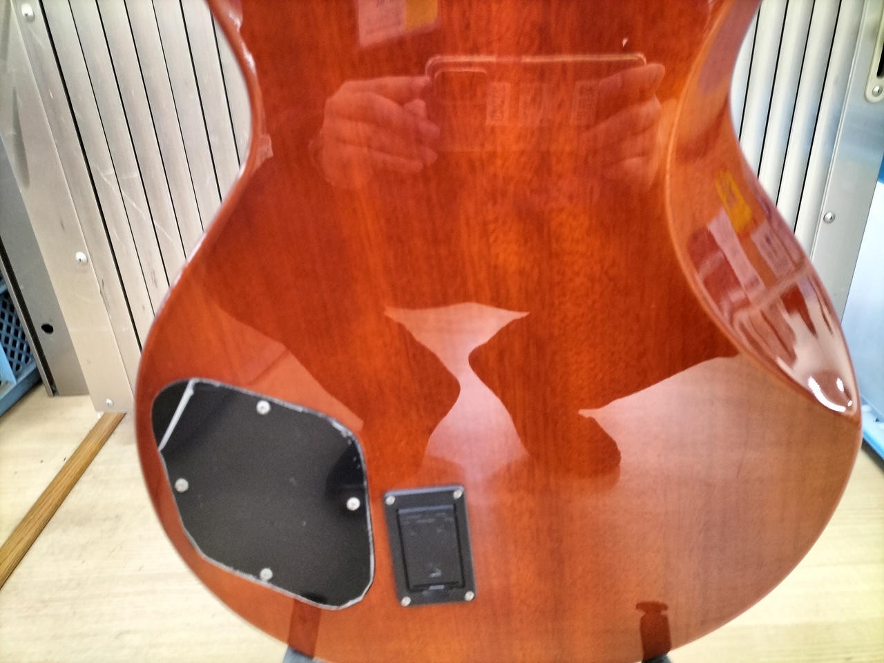 LANDSCAPE SE-01N Electric Guitar