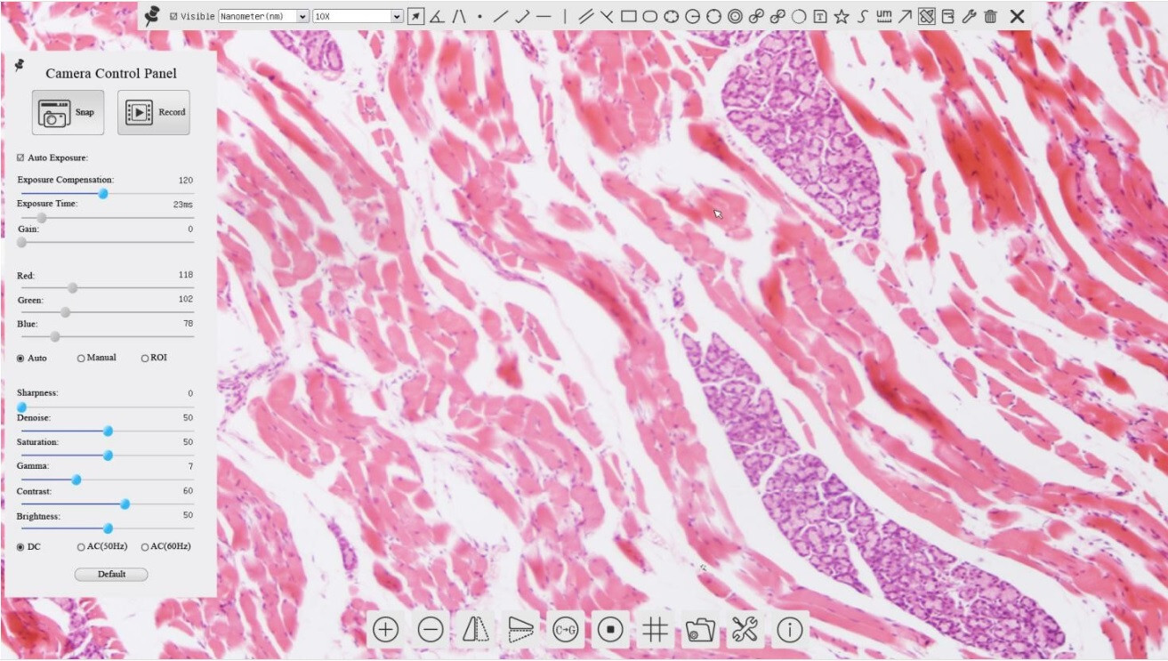 High Definition 1080P HDMI Microscope Camera, 60fps