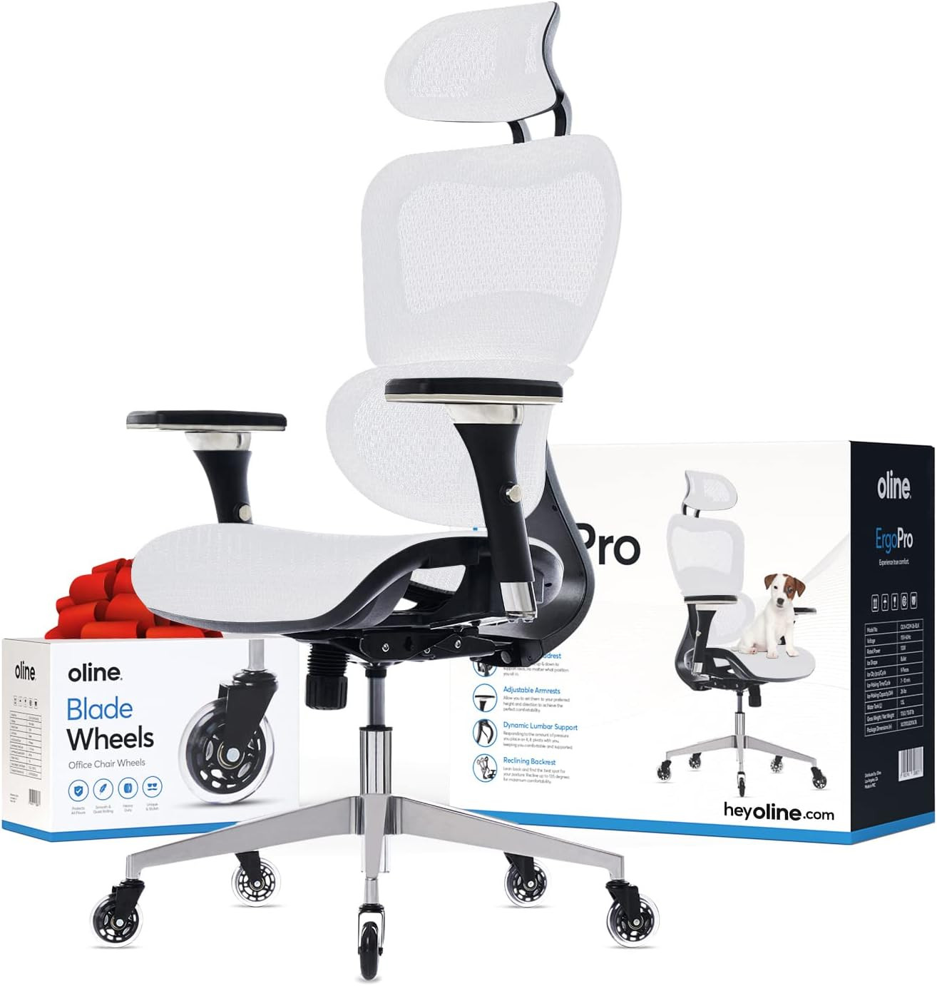 Ergopro Ergonomic Office Chair with 4D Adjustable Armrest, 3D Lumbar Support and