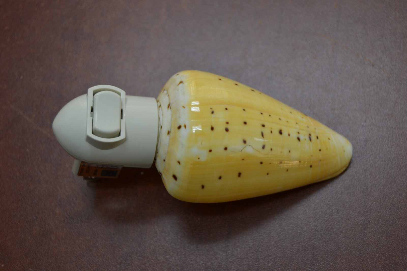ABBREVIATED CONE SEA SHELL NIGHT LIGHT BATHROOM KITCHEN #7250
