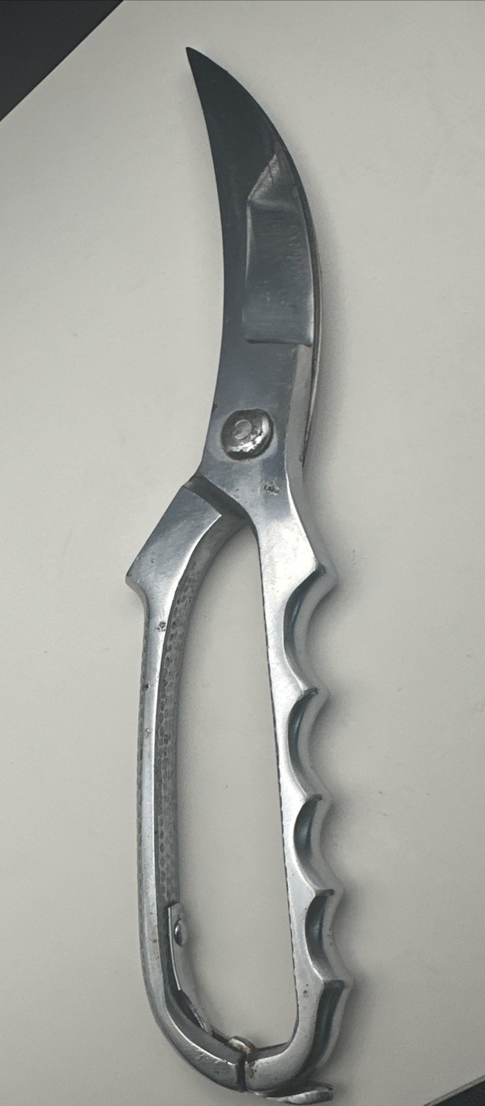 Thurnauer Poultry/Meat Shears Chrome Italy-Read