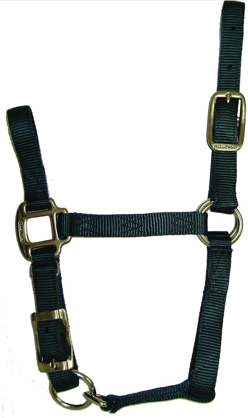 Hamilton 3/4-Inch Nylon Quality Horse Halter, Foal, 100 to 200-Pound, Dark Green