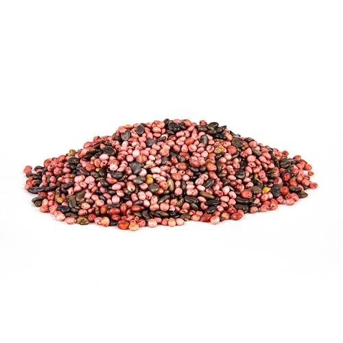 Conceal Deer Food Plot Seed for Spring Planting - Provides 7 lbs (.25 acre)