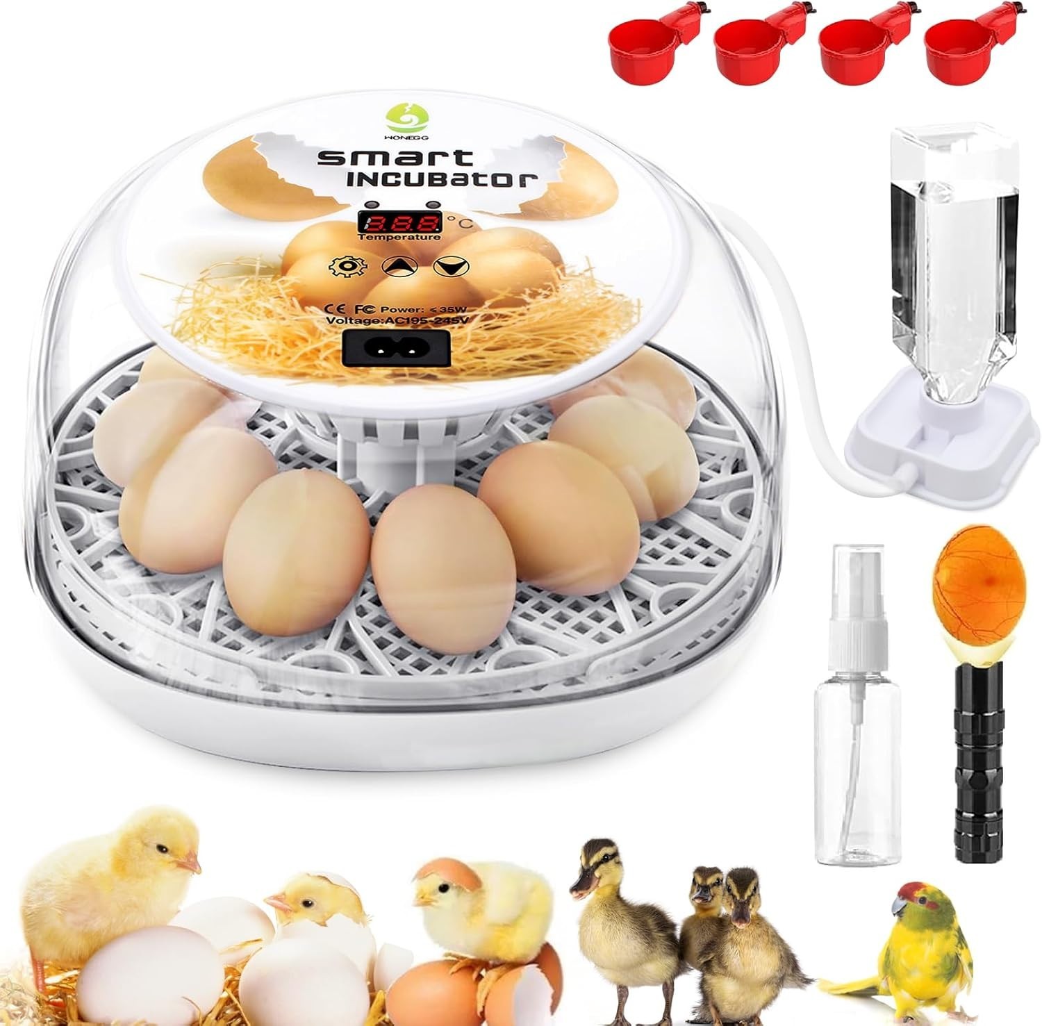 Incubadoras para huevos para incubar, incubadora de 12 huevos