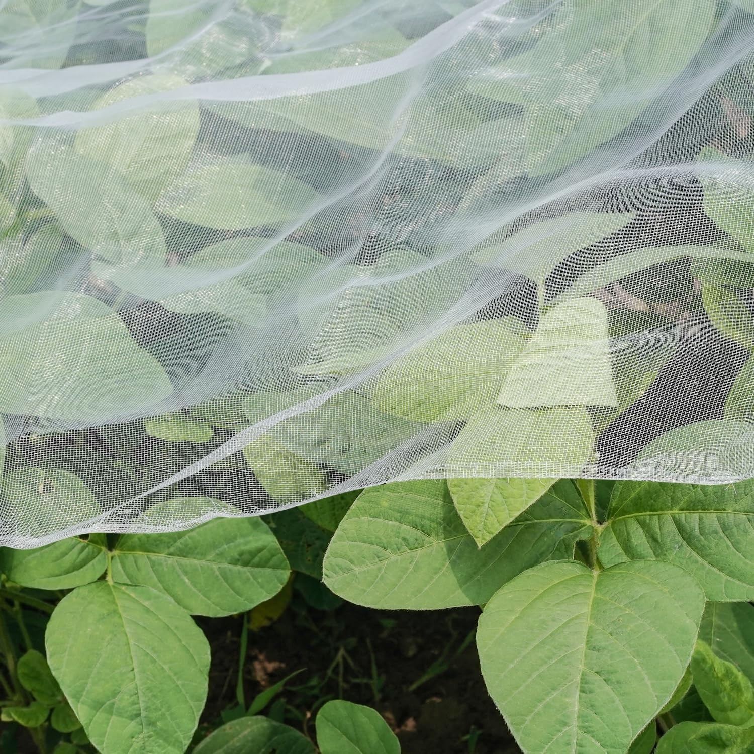 Ultra Fine Garden Netting, 4'x10' Plant Netting Pest Barrier 4x10FT, White