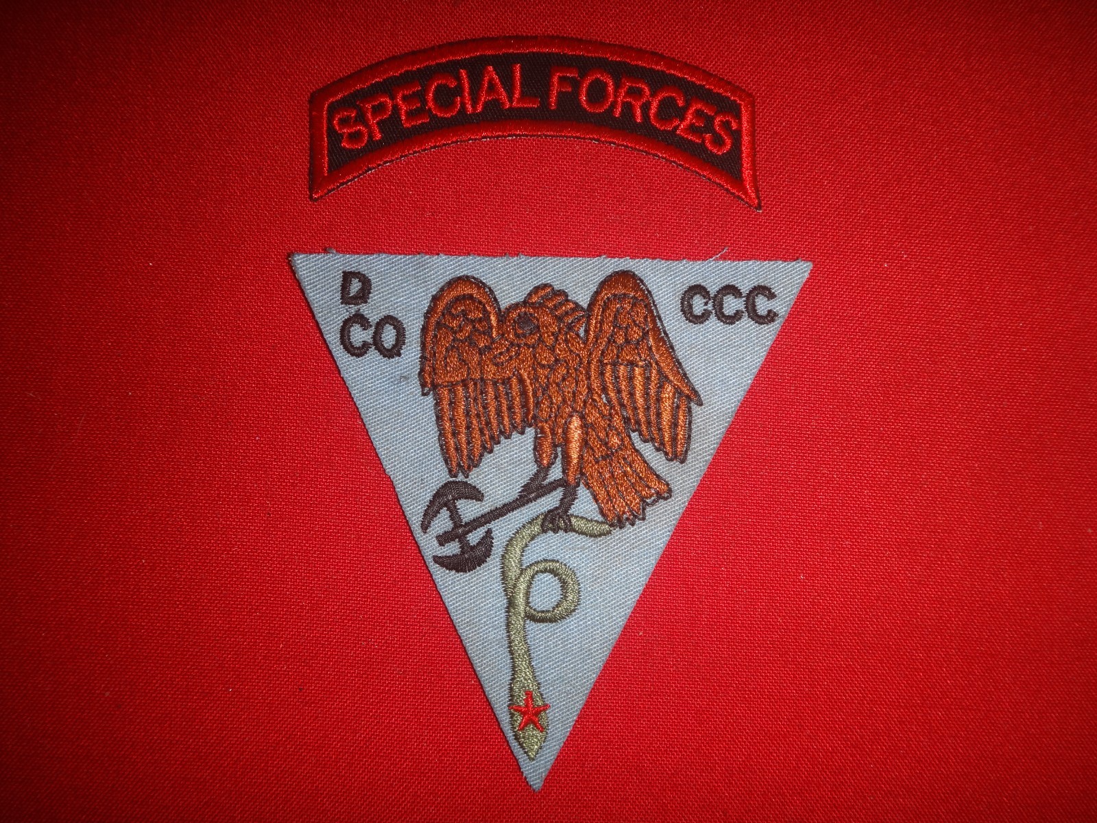 2 Vietnam War USSF Patches: SPECIAL FORCES Arc + D Company CCC Team Patch