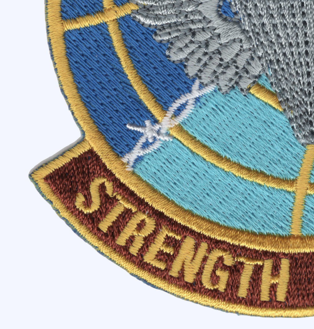 38th Rescue Squadron Patch Moody AFB Georgia