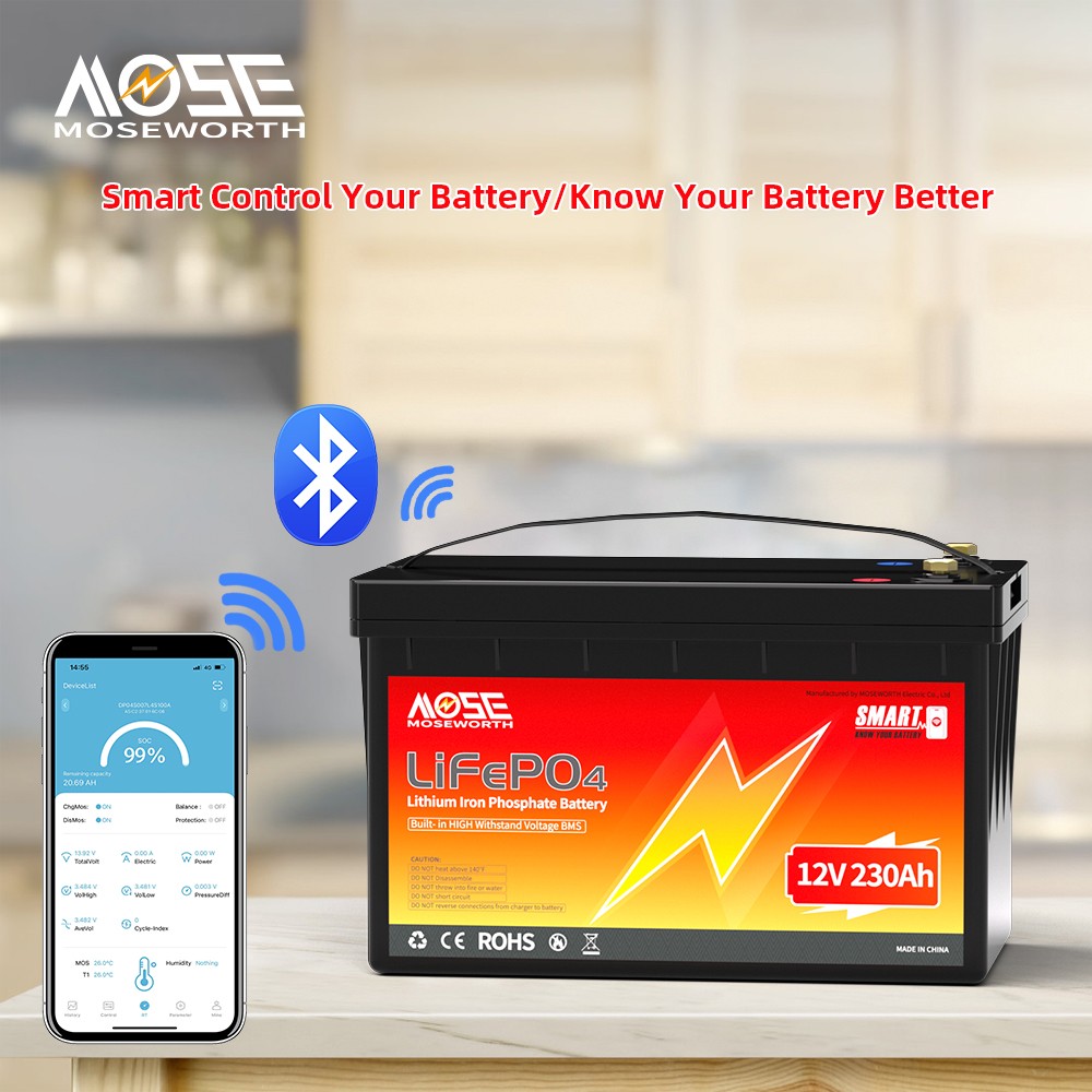 12V 230Ah LiFePO4 Lithium Battery 200A BMS Bluetooth App Marine Solar Low Temp