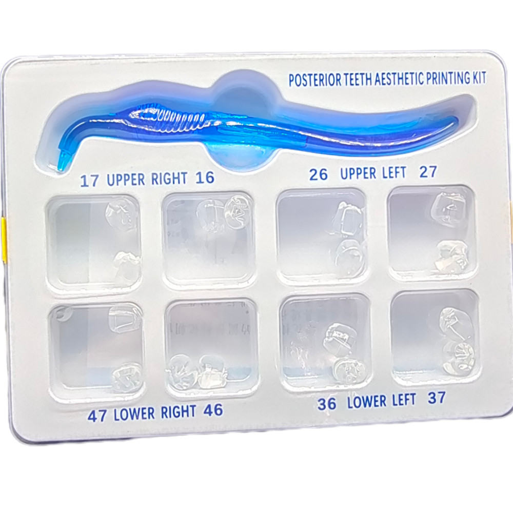 3Kit Dental Lab Aesthetic Filling Printing Light Cure Composite Curing Posterior