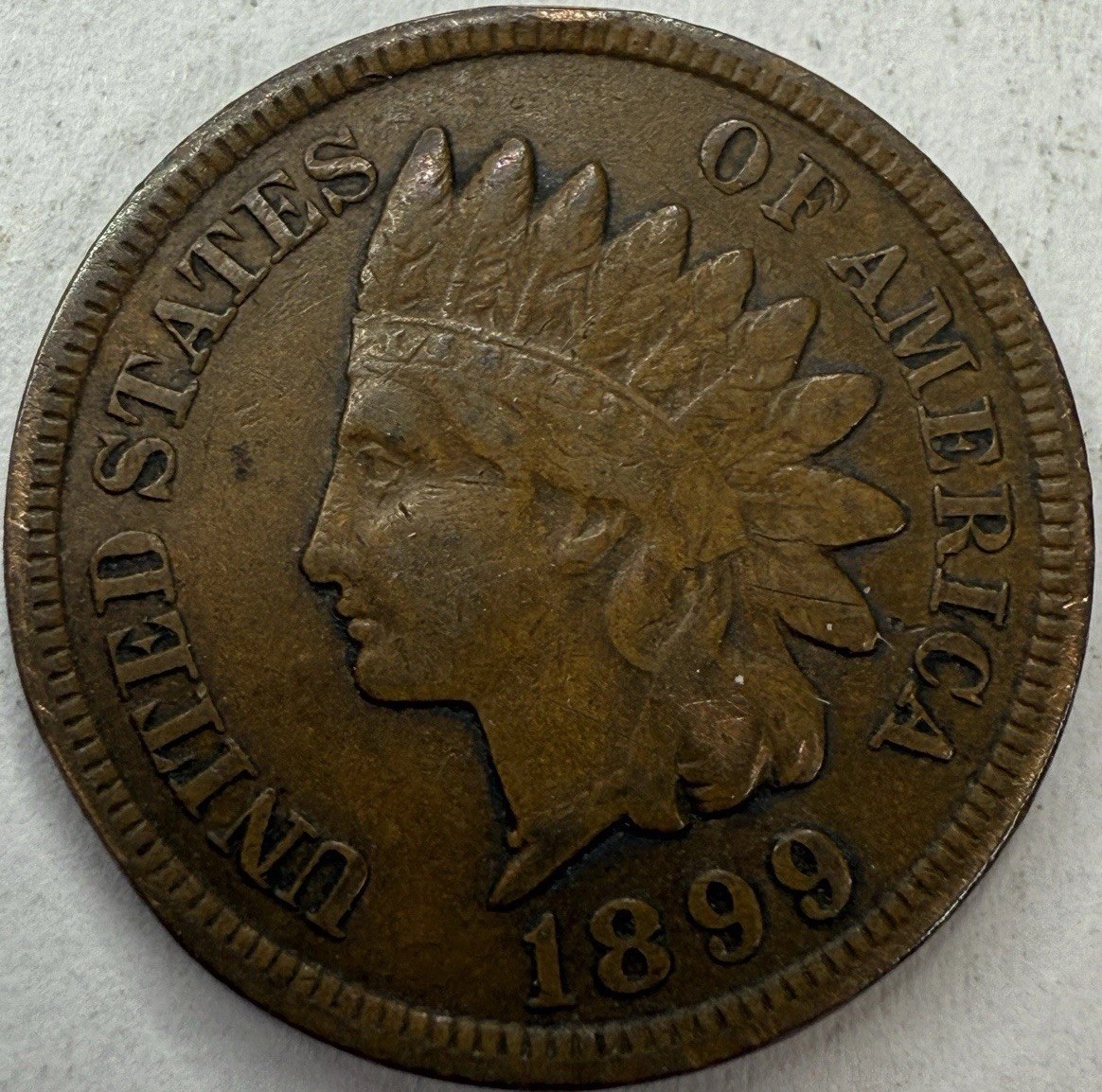 1899 Indian Head Cent Exact Coin Imaged #IND1882