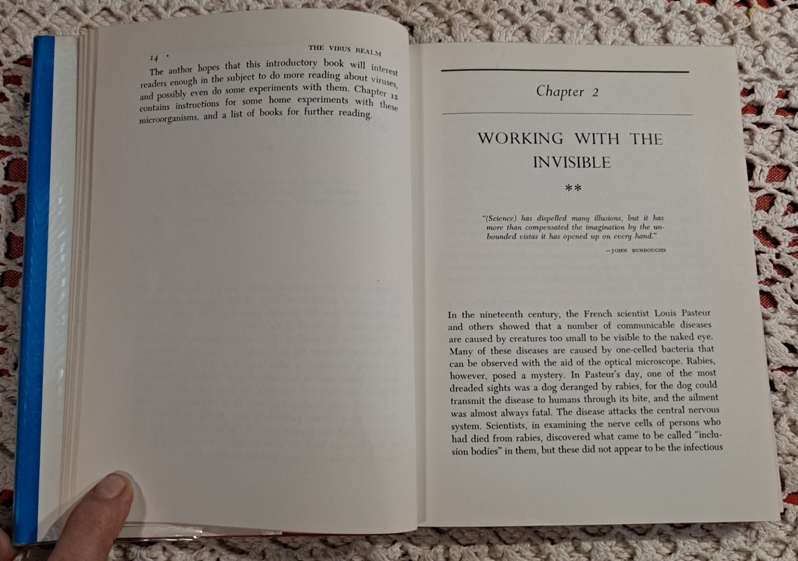 Introducing Modern Science Ser: The Virus Realm by P. Thompson,1968(1st Edition)