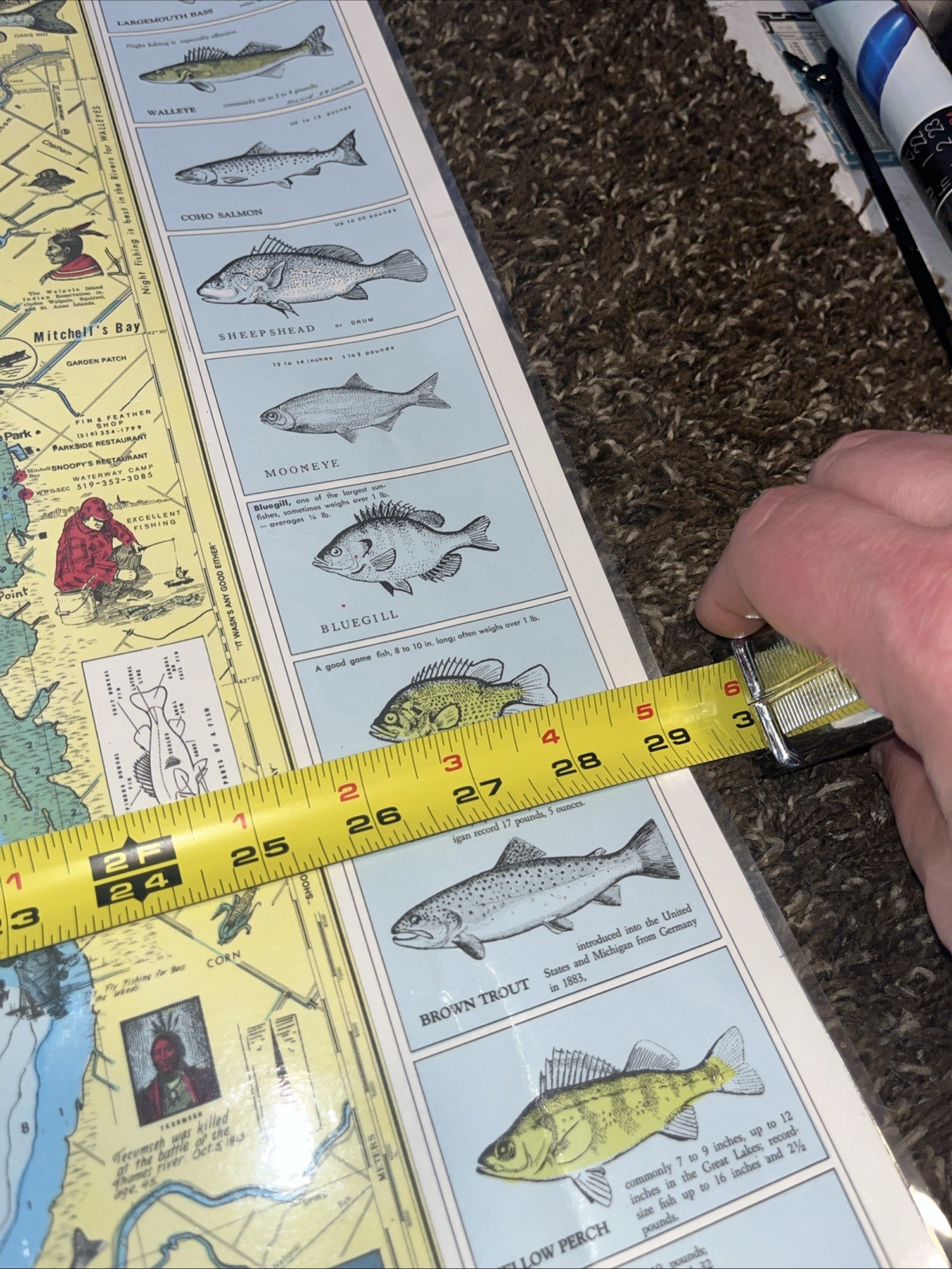 Nautical Fishing Chart Lake St Clair Michigan Laminated Map