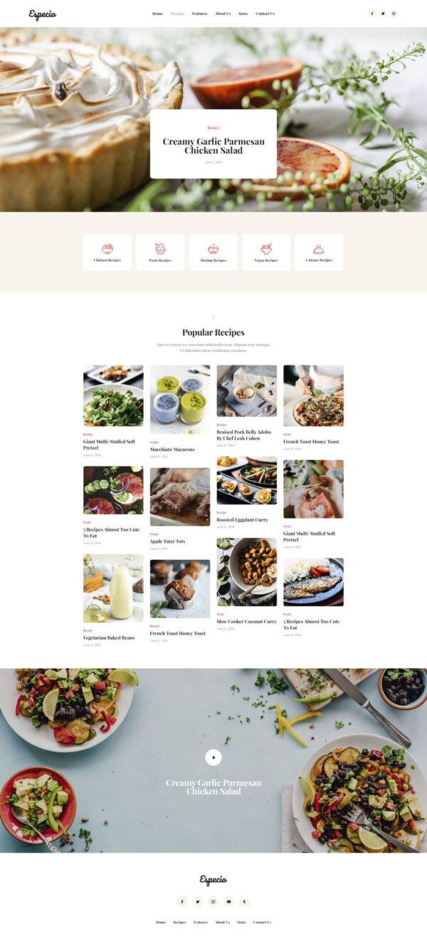 Premium Wordpress Elementor Template Kit Bundle | Blog & Podcast theme