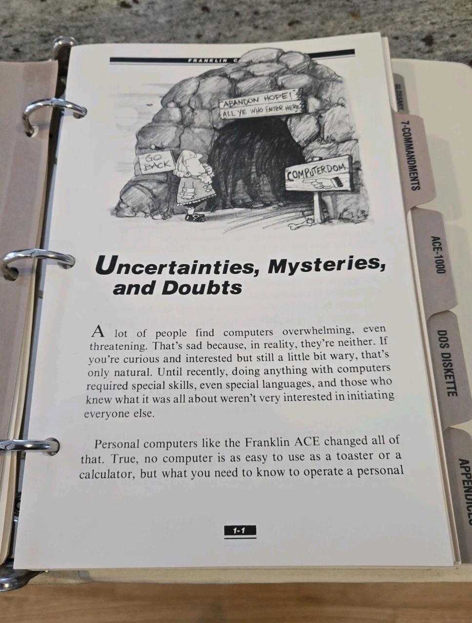 Franklin Ace 1000 User Reference Manual with Diagnostic Schematics VERY NICE