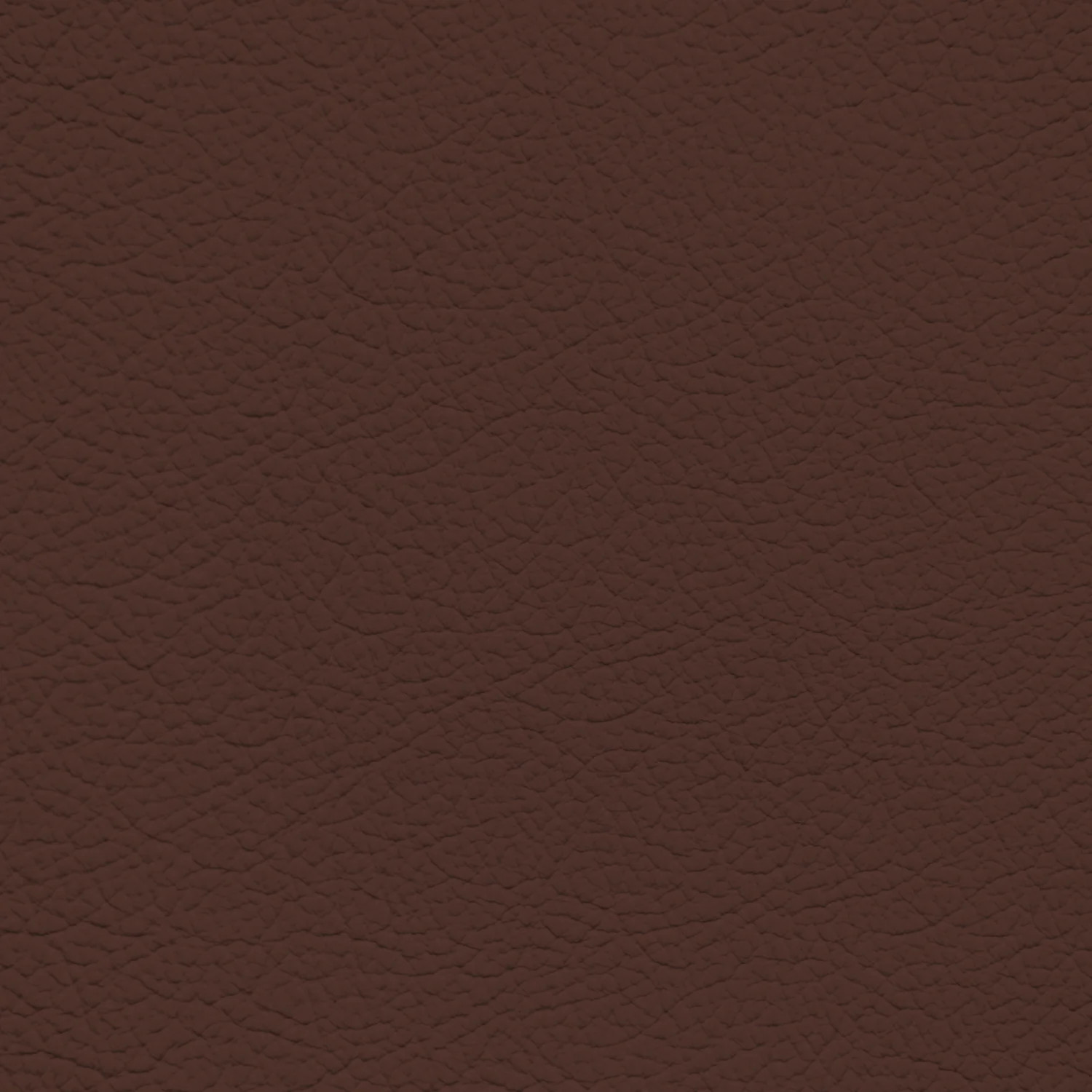 Ford/Lincoln/Mercury Dark Marsala Leather Dye