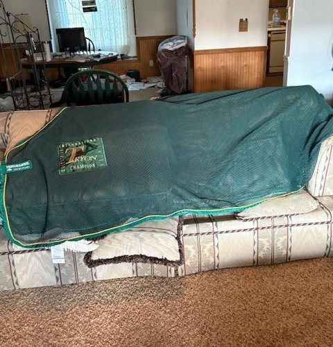 Horsewear Ireland scrim Tryon Champion green 78