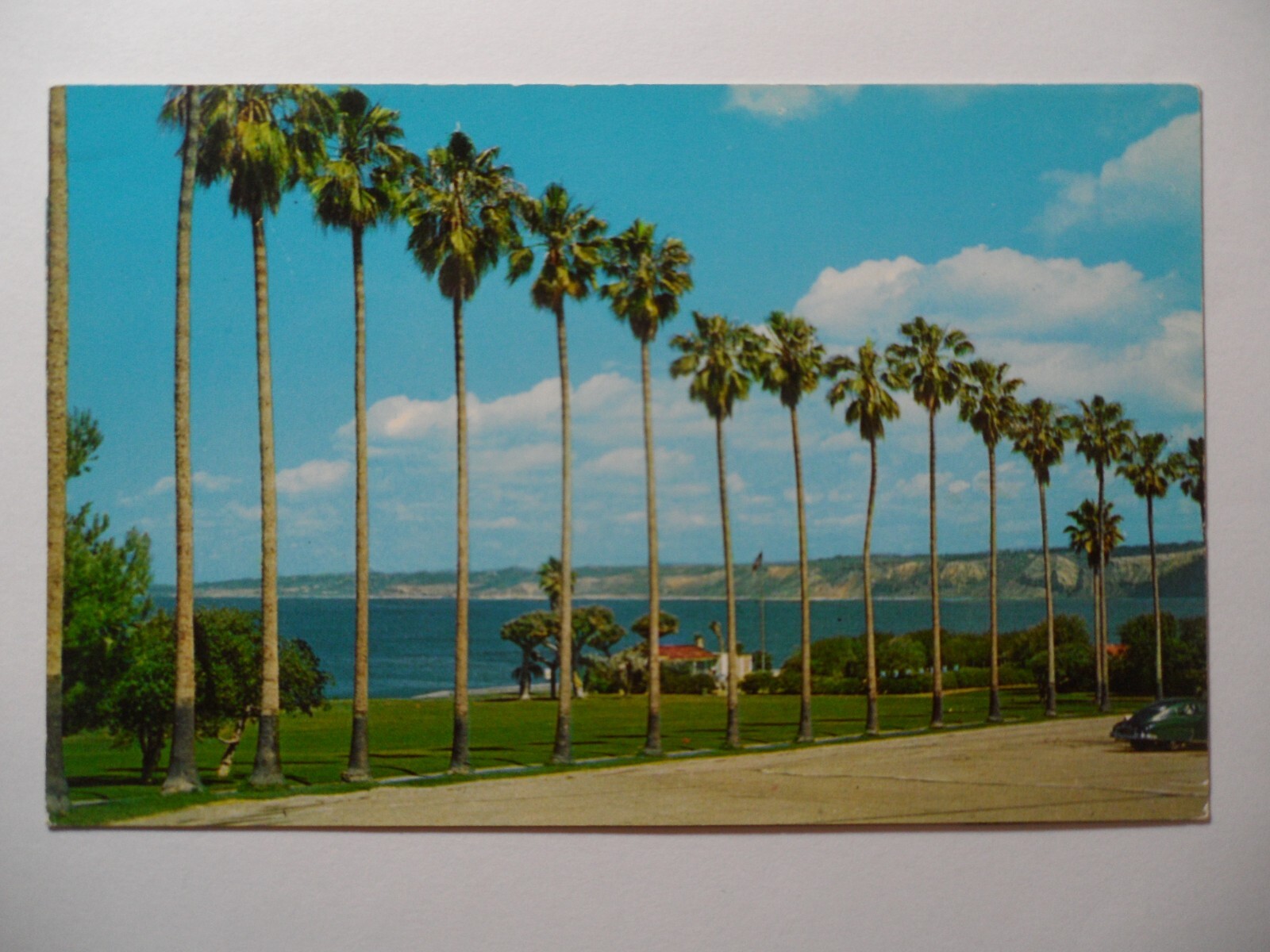 STAMPMART : USA LA JOLLA COVE PARK CALIFORNIA UNUSED POSTCARD