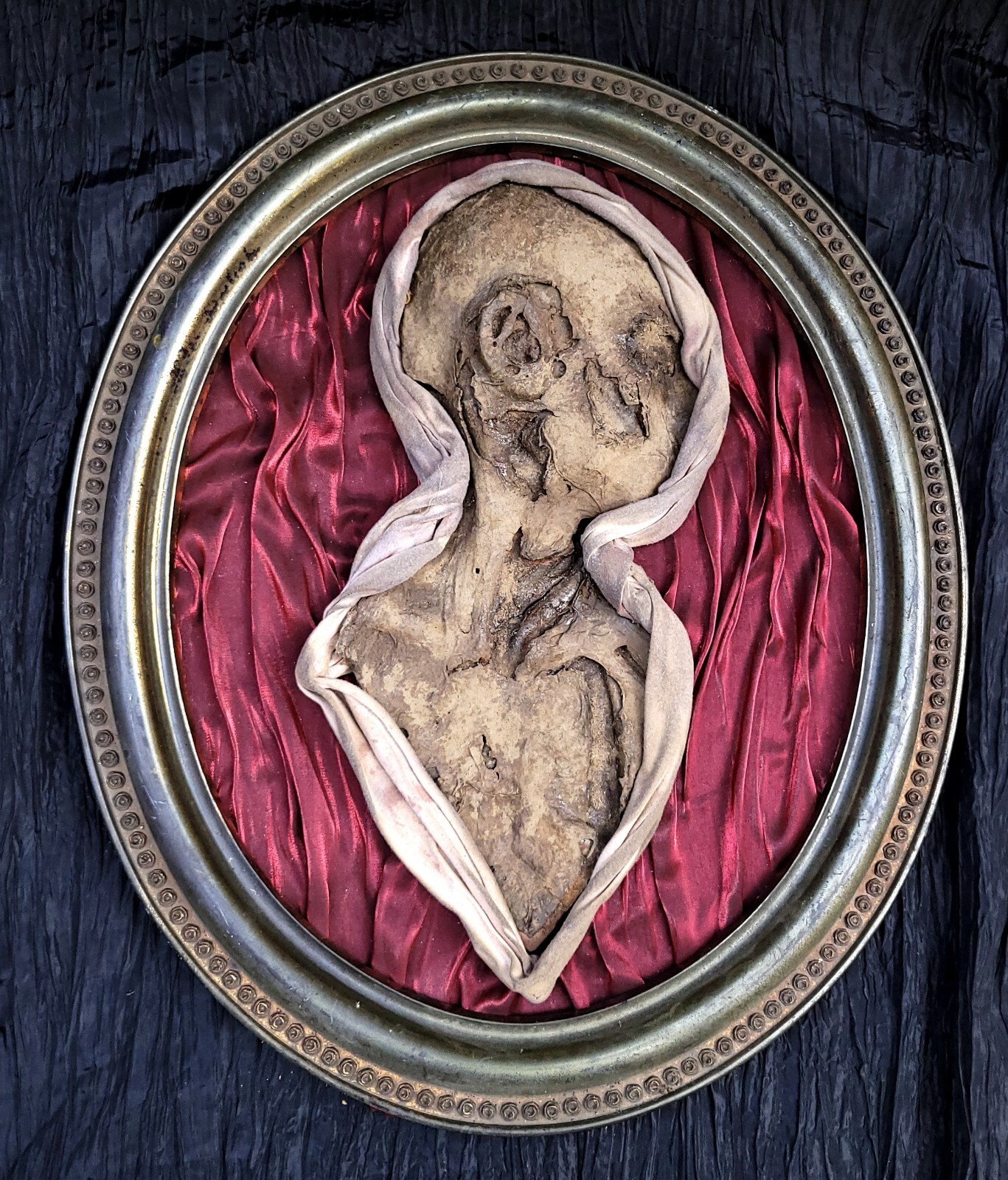 Anatomical Display of a Mummified Child. Oddity, Macabre, Dark Art