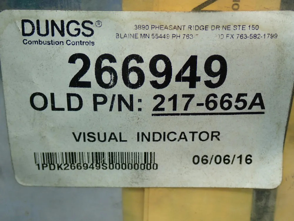 DUNGS VISUAL INDICATOR 266949