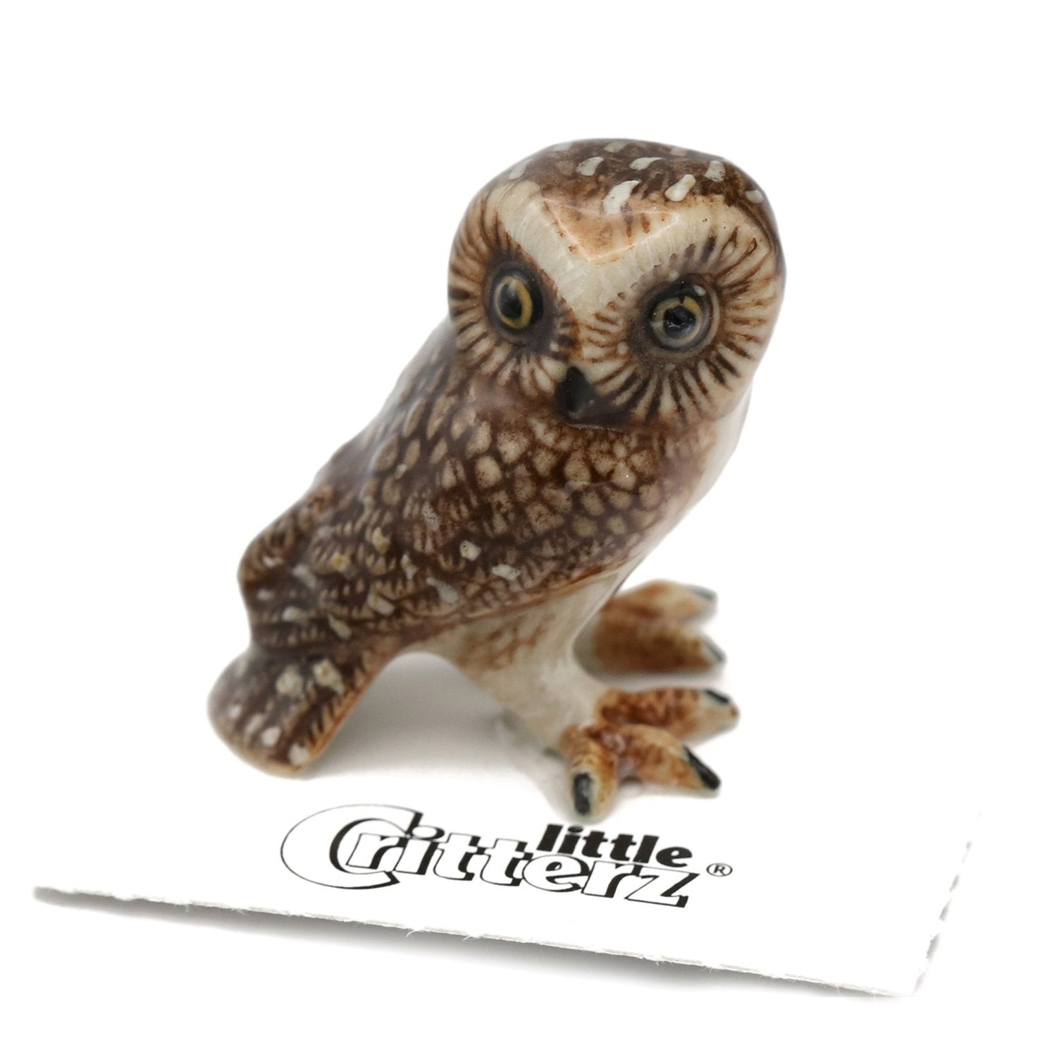 Little Critterz Owl- Saw whet Owl "Sawyer" Bird - Miniature Porcelain Figurine