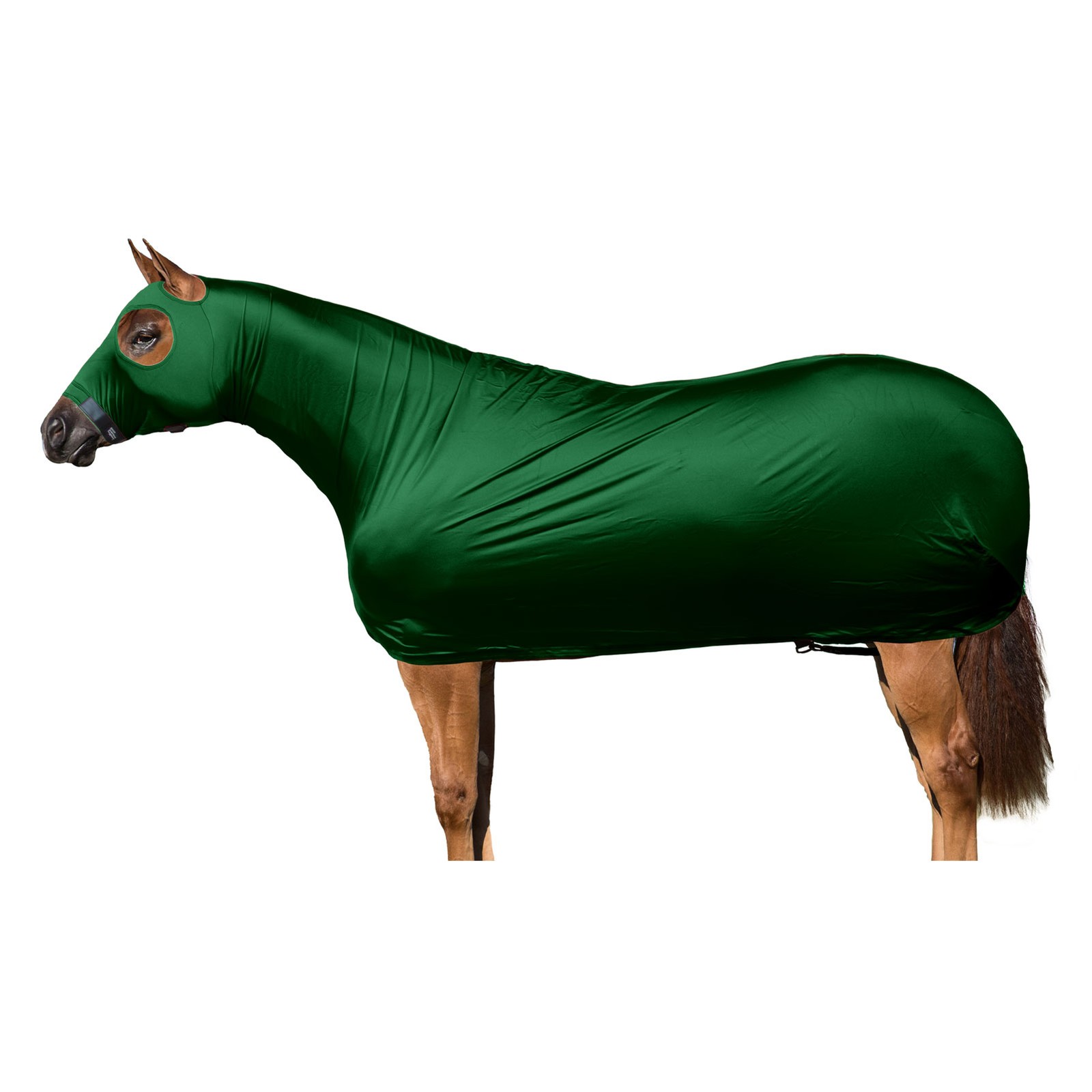 SLEAZY SLEEPWEAR Solid Full Body Hunter Blanket (0818)