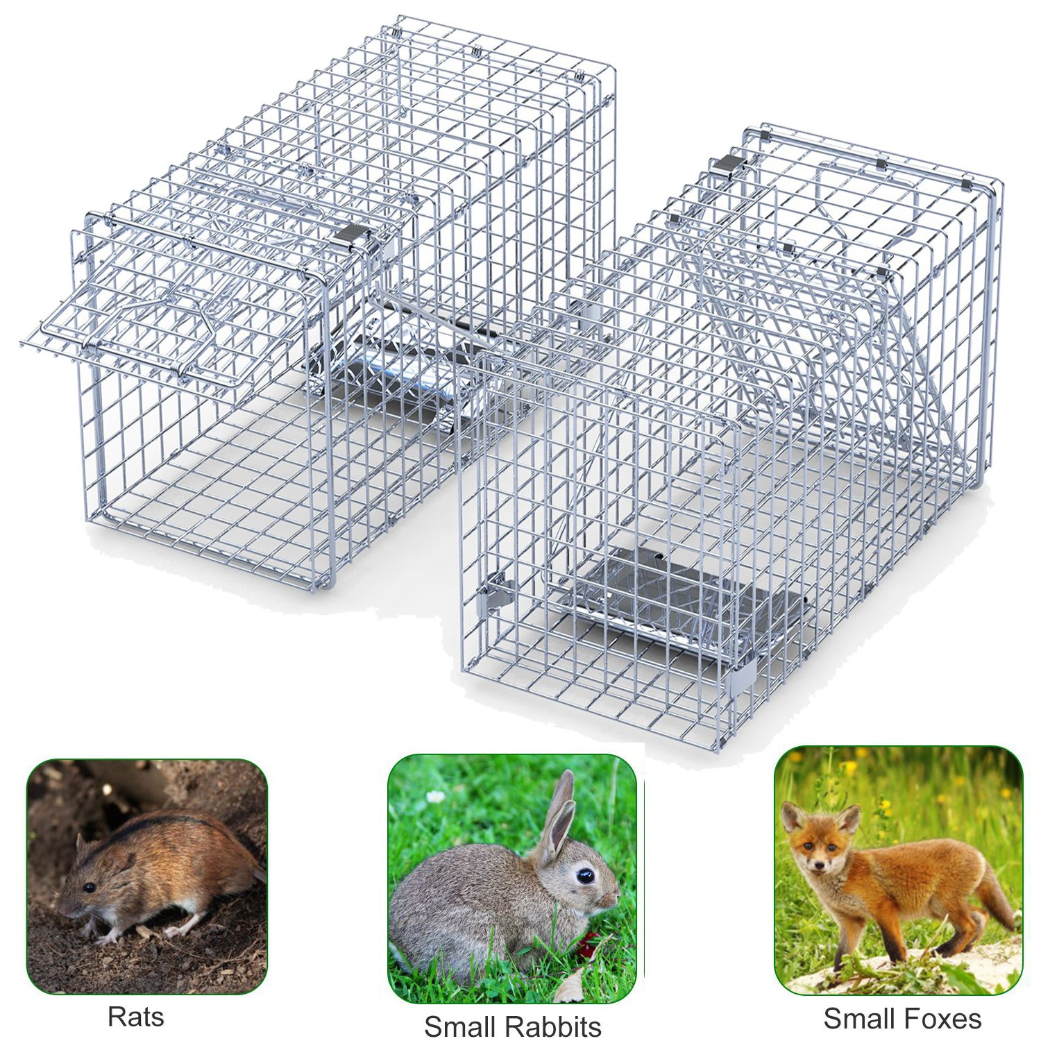 2pcs Single Door Live Animal Cage Trap Kit for Small Squirrel Raccoon Feral