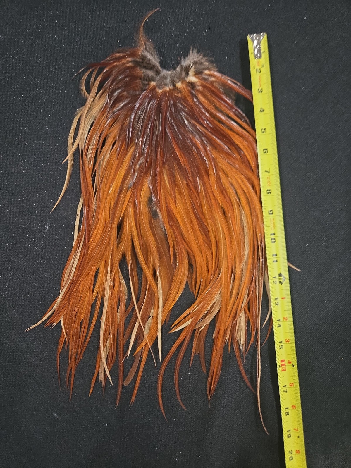 Medium Brown  Rooster Saddle Fly Tying Hackle Craft Jewelry Feathers SEE VIDEO