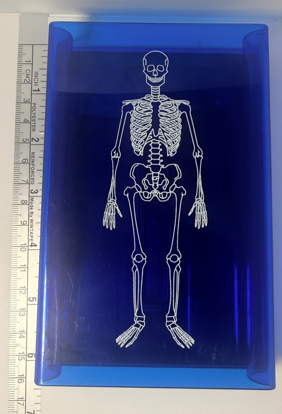 Learning Resources Skeleton Stamp Science Anatomy Classroom Homeschool