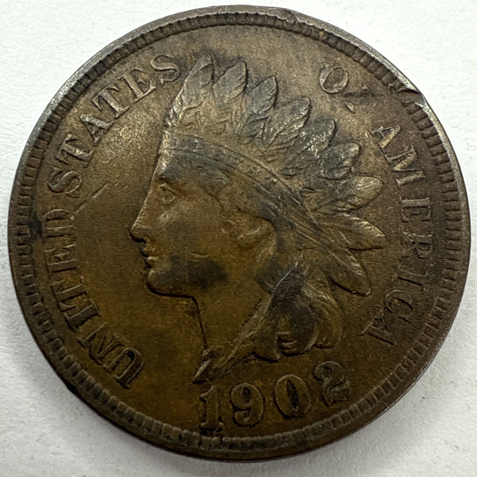 1902 Indian Head Cent Exact Coin Imaged #IND2113