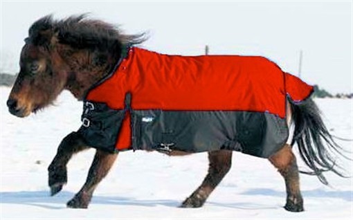 Miniature Horse Winter Turnout Blanket - Red - 600D - Sizes 36" up to 51"