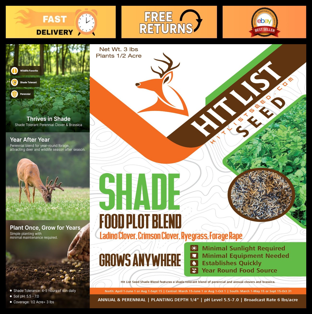 Deer Food Plot Seed Mix - Annual & Perennial Clover, Brassica, Ryegrass - 3 lbs