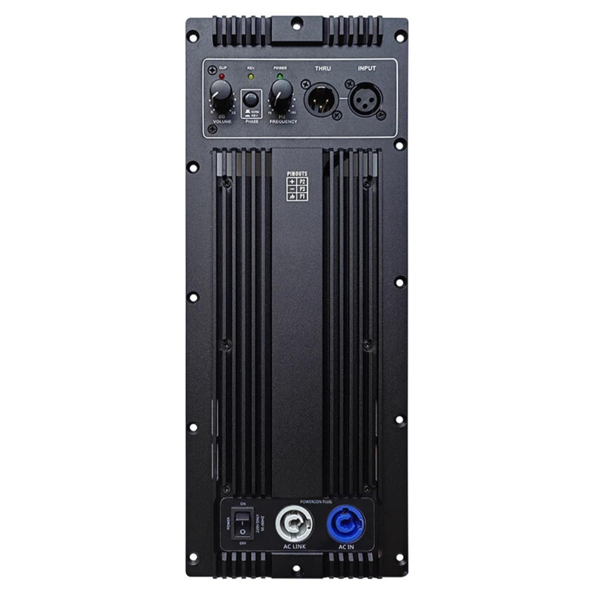 1000W Audio Active Speaker Plate Power Class D Amplifier Board Module Subwoofer