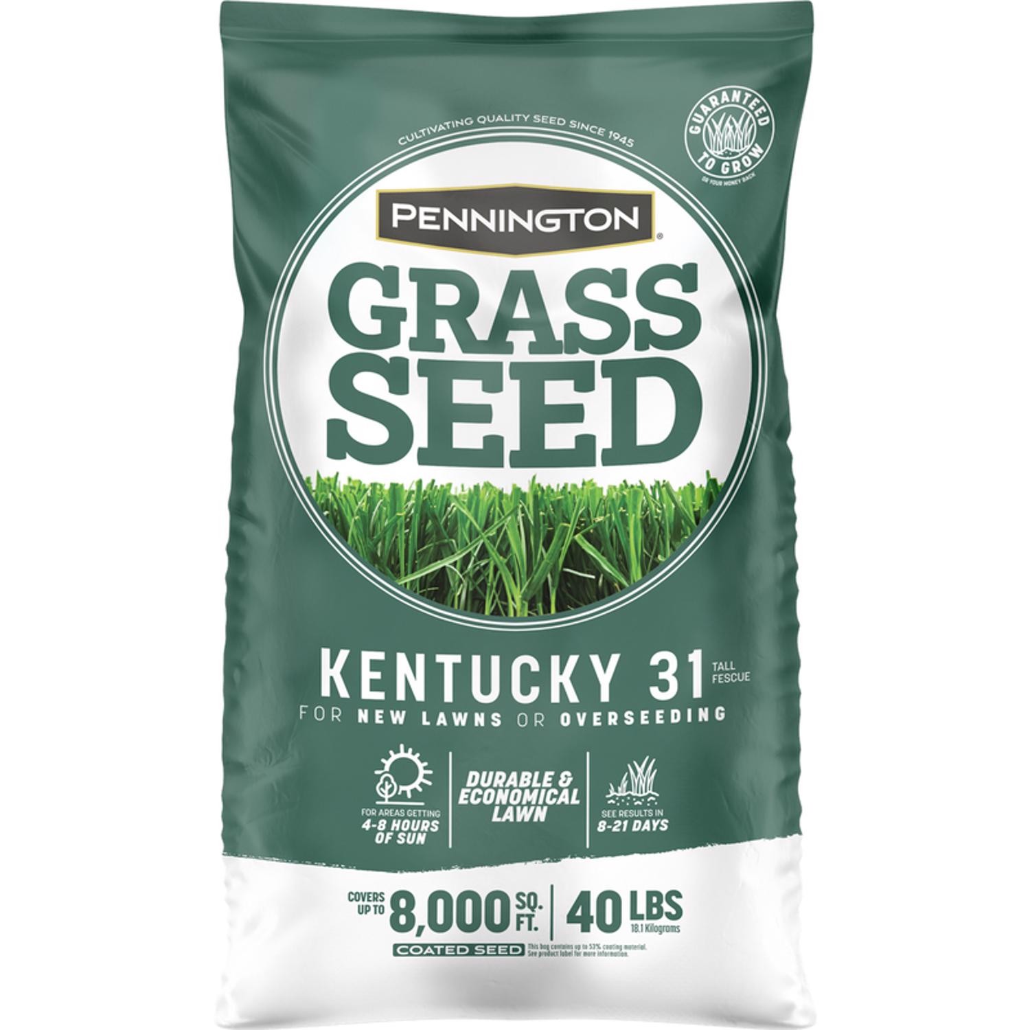 Pennington Kentucky 31 Tall Fescue Sun/Shade Grass Seed 40 lb
