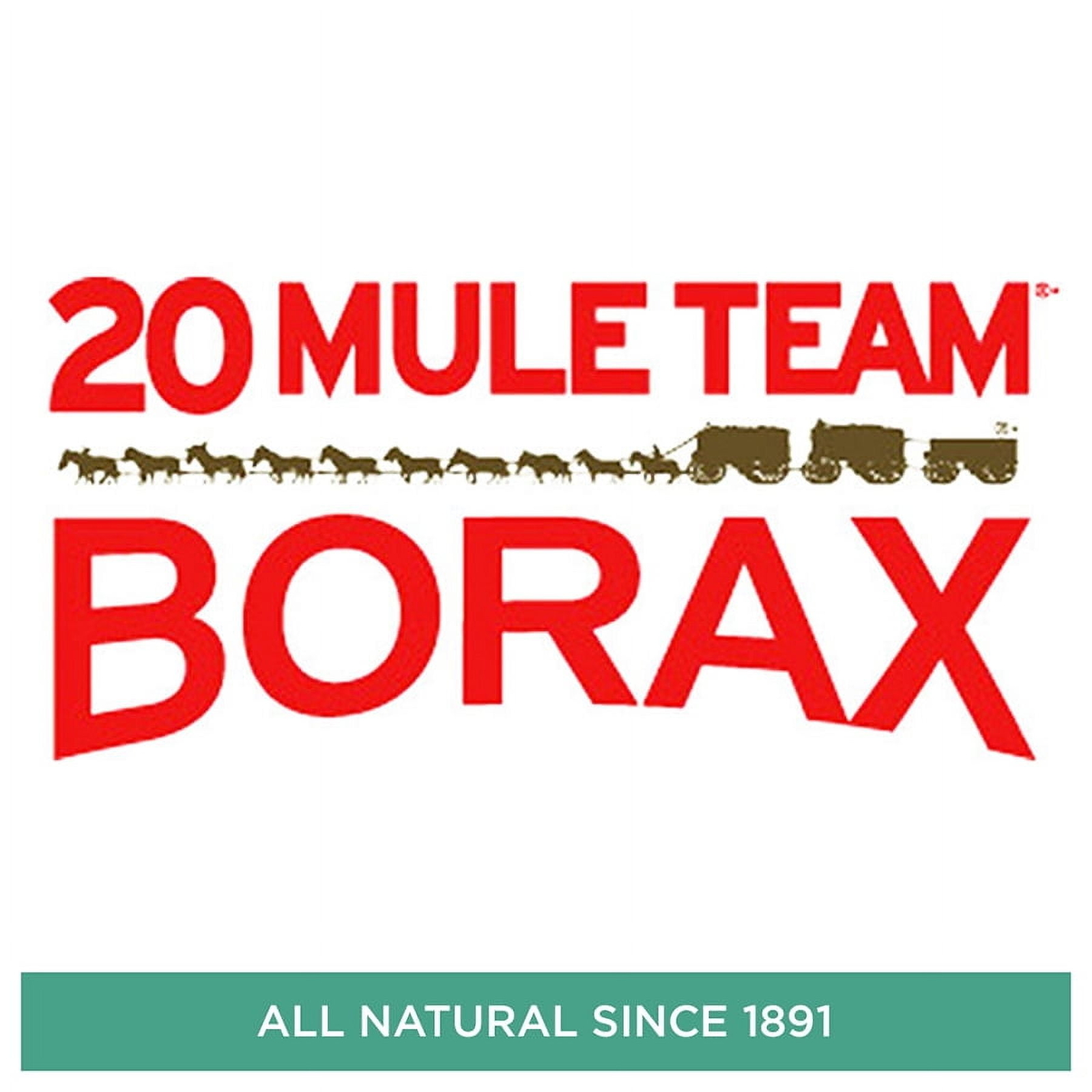 20 Mule Team Detergent Booster - 65oz