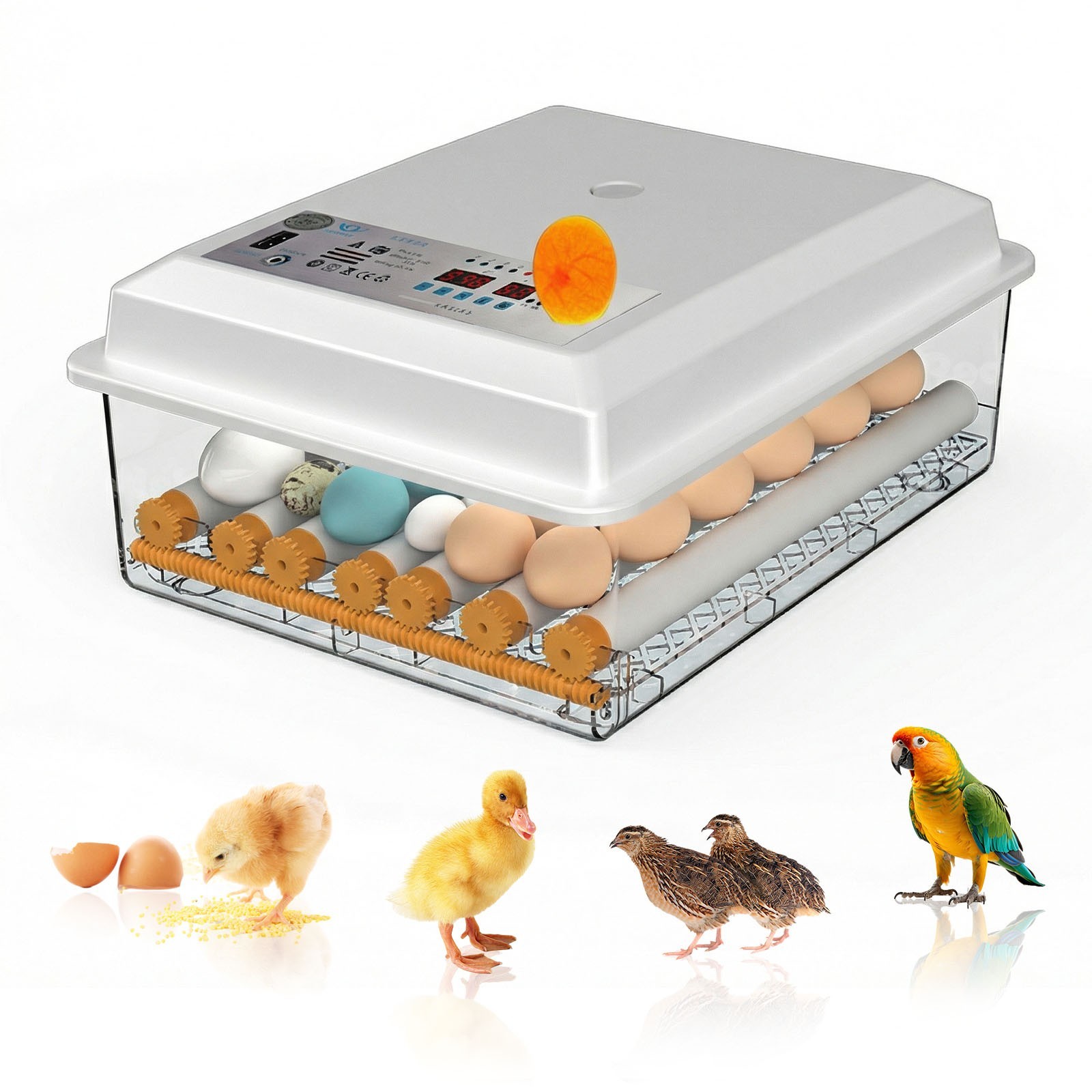 36 Eggs Incubator Digital Hatcher Temperature Control Fully Automatic Turning US