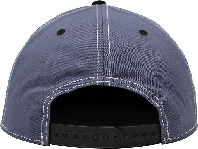 School House Rock Vote Hat - I'm Just a Bill - Brand New Snapback