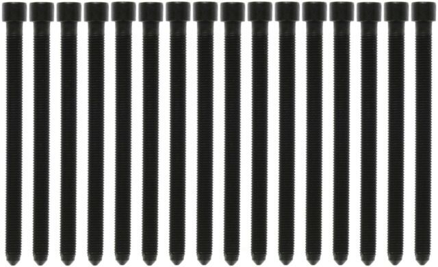 Engine Cylinder Head Bolt Set-Eng Code: AHA Victor Reinz GS33453