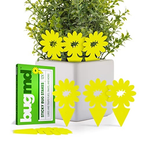 BugMD Sticky Bug Traps (12 Pack) - Fruit Fly, Fungus Gnat, Plant Pest Killer