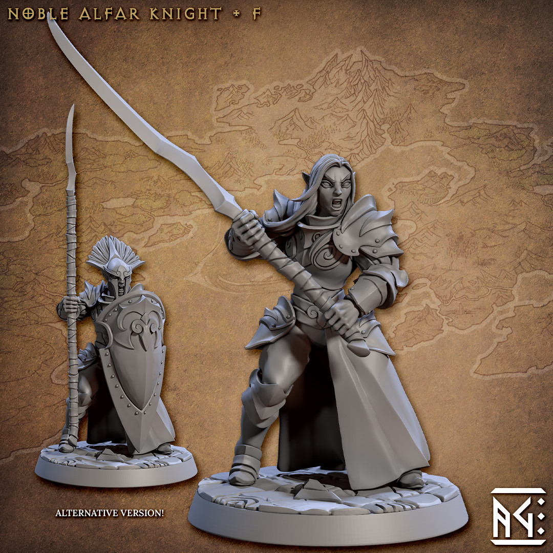 Elf Noble Knight F - Artisan Guild - Dungeons and Dragons