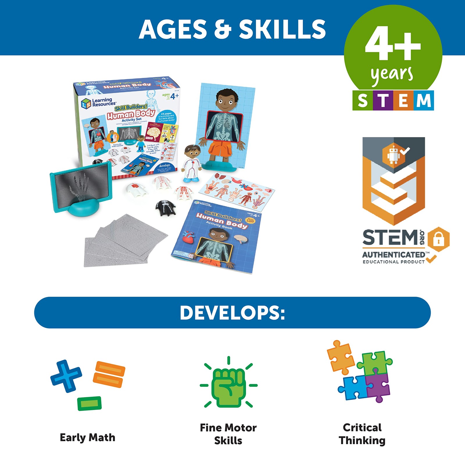 Learning Resources Skill Builders! Human Body Activity Set - Anatomy One Size