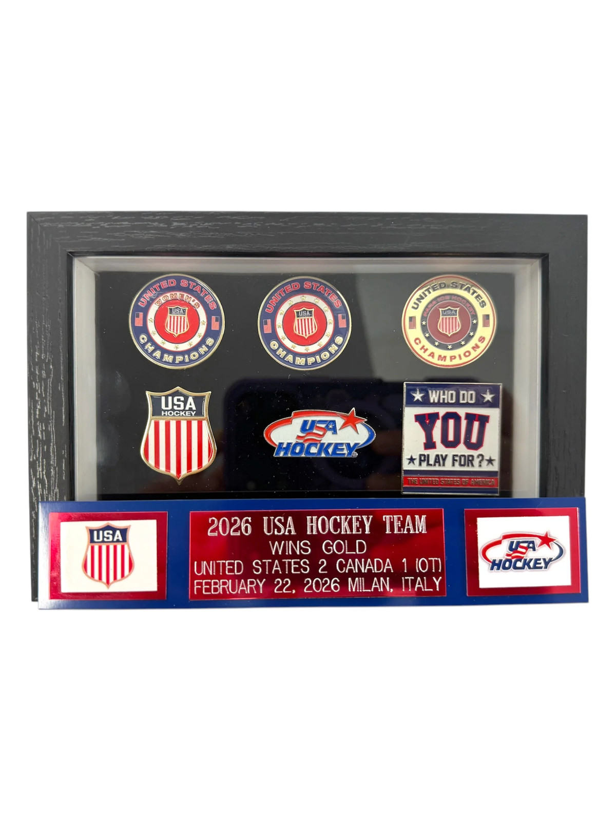 USA Hockey 2026 Framed Collector's Pin Set