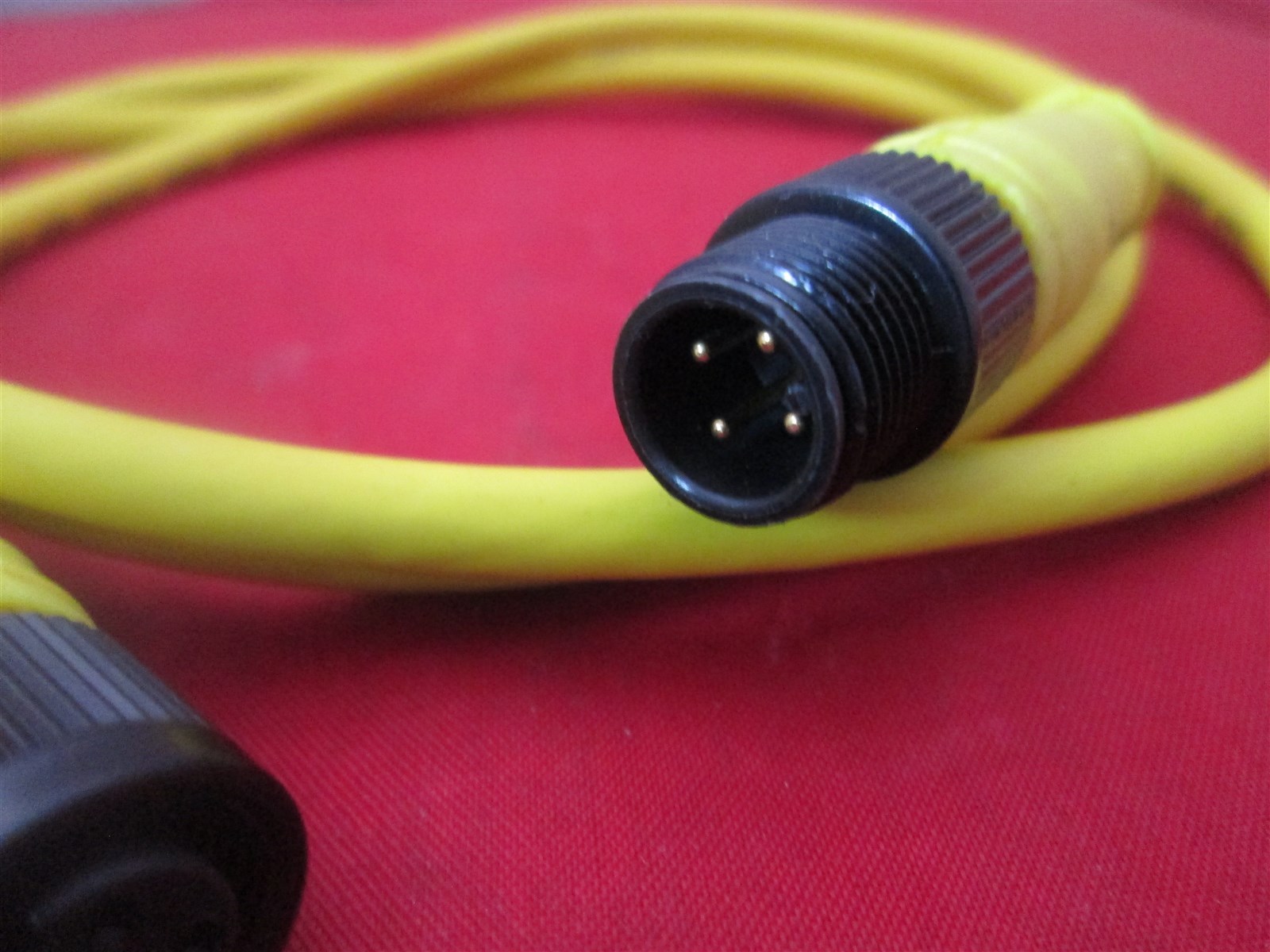 Balluff C04EEL04TY010M Cable