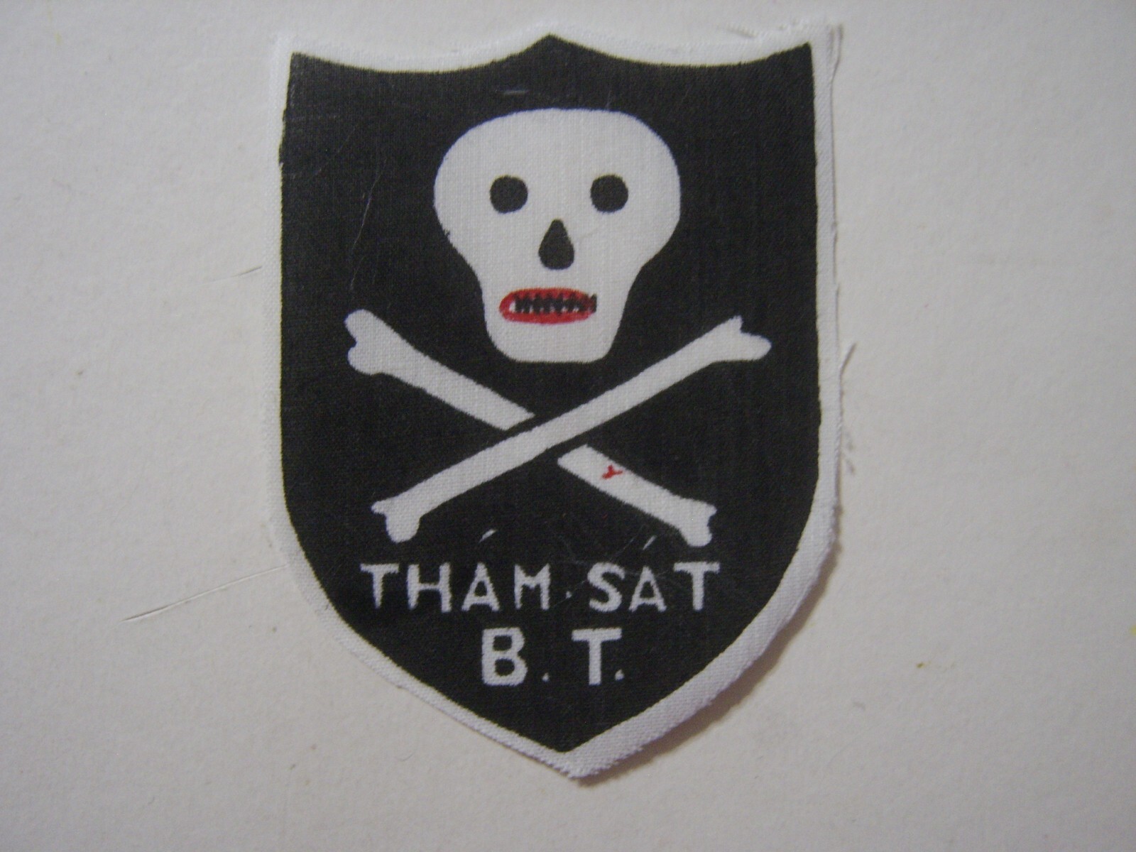 BINH THUY PROVINCE PRU PATCH THAMS SAT B.T. MIKE FORCE  (REPRODUCTION) :KY22-6