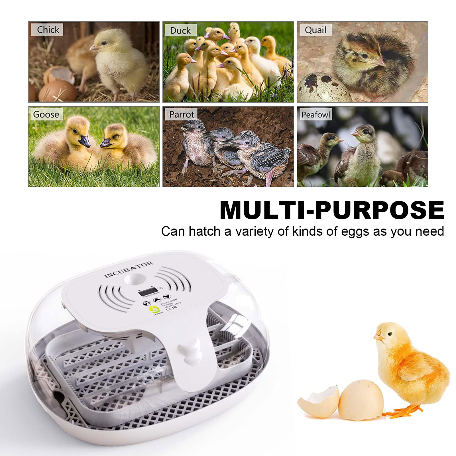 16 Eggs Incubator for Hatching Chicken Duck w/ Auto Egg Turning & Water Adding