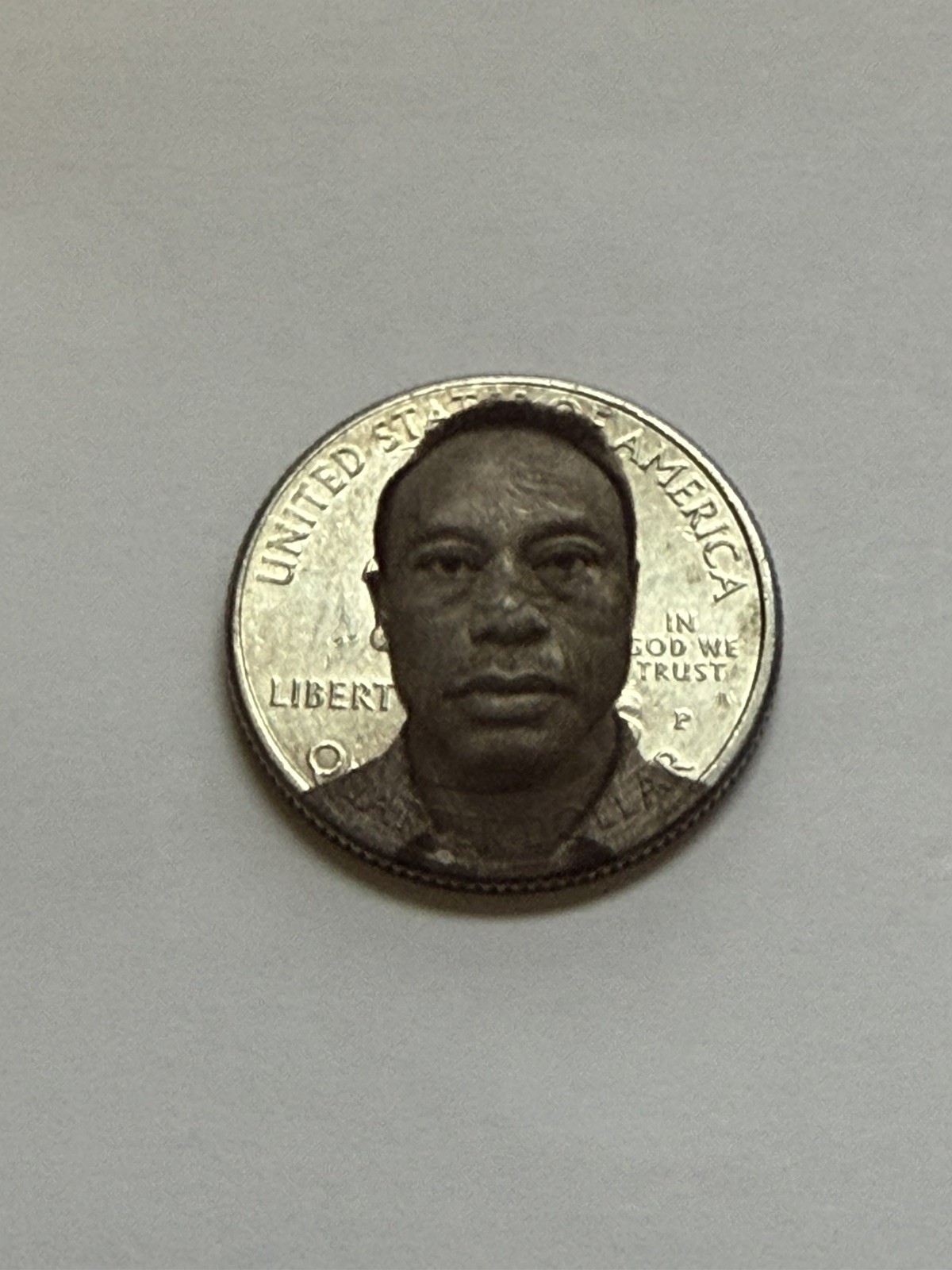 Quarter Golf Ball Marker Laser Engraved Tiger Woods Mugshot