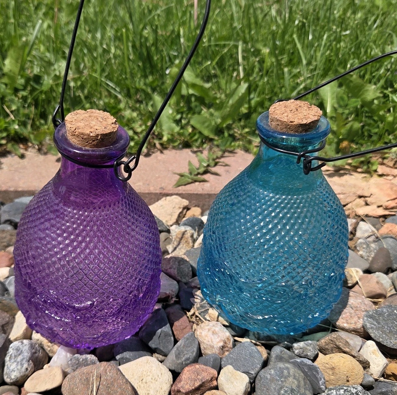 NWT 9" Esschert's Garden Design Hobnail Glass Hanging Wasp Traps CHOOSE COLOR