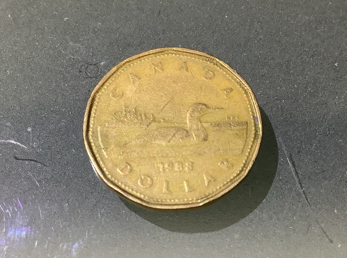 Canada 1 Dollar 1988 Circulated