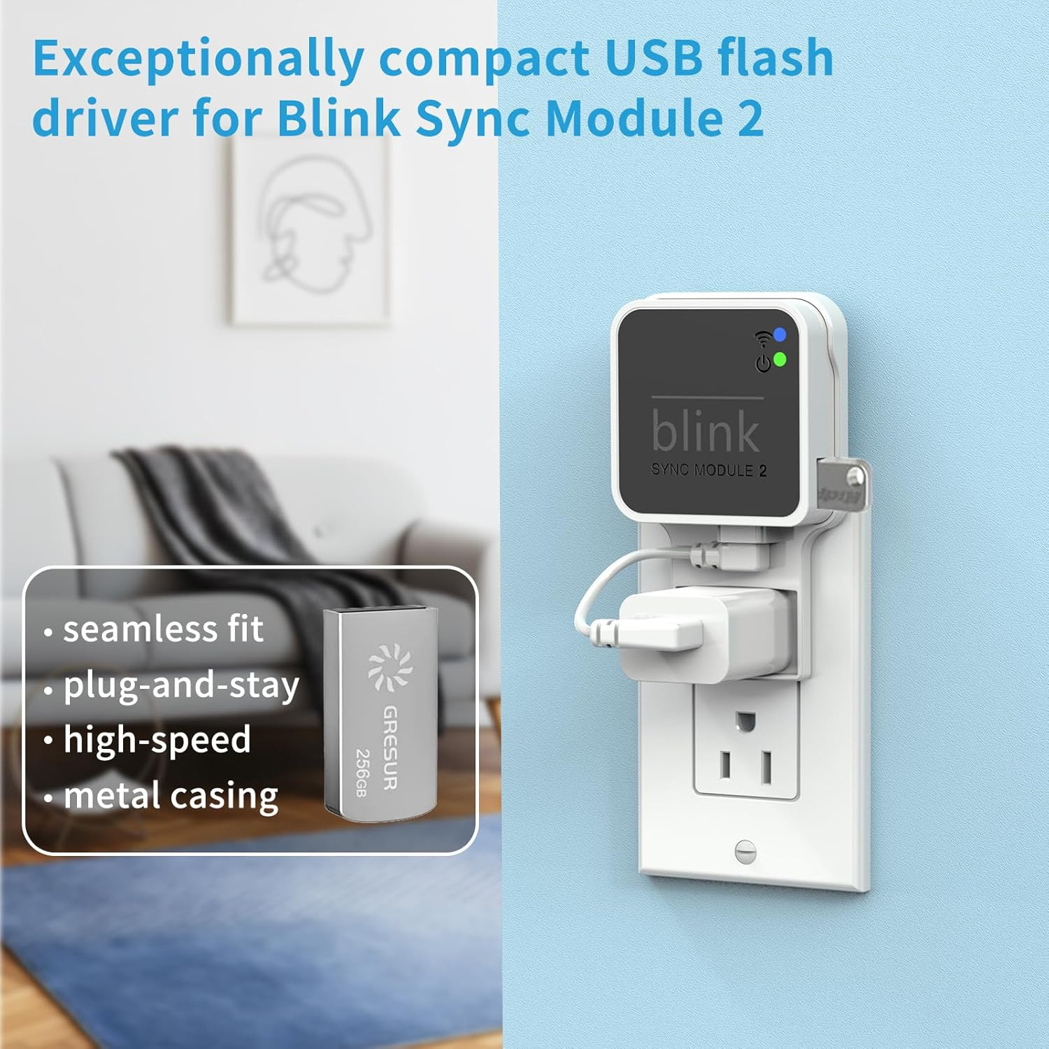 256GB USB Flash Drive for Local Video Storage with the Blink Sync Module 2 Mount