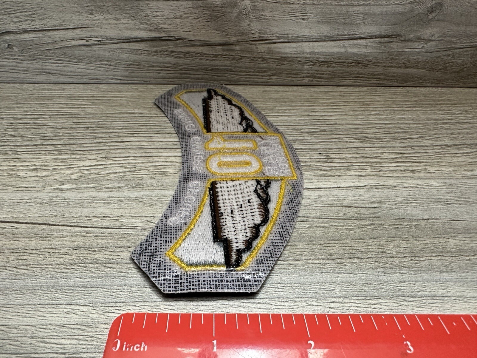 Harley Davidson HOG Owners Group Winged 10 Year Member Patch